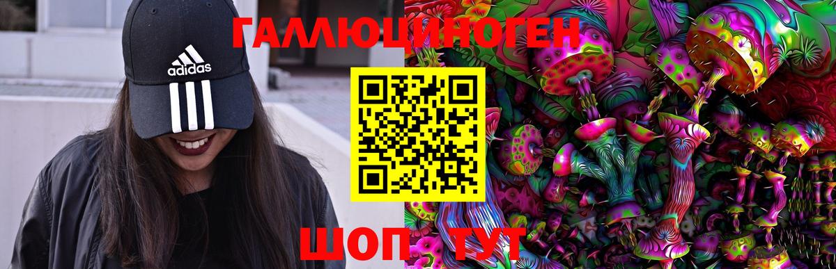 Псилоцибиновые грибы GOLDEN TEACHER Кузнецк